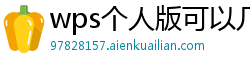 wps个人版可以几个人用啊公司账户吗